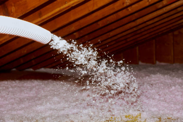 Best Insulation Maintenance and Repair in Jamestown, NY