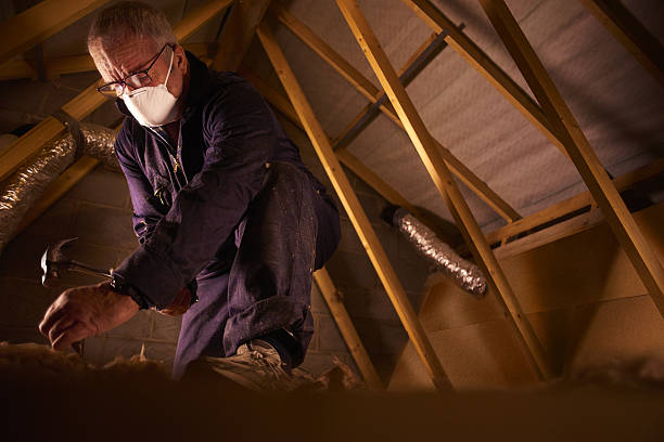 Best Commercial Insulation in Jamestown, NY